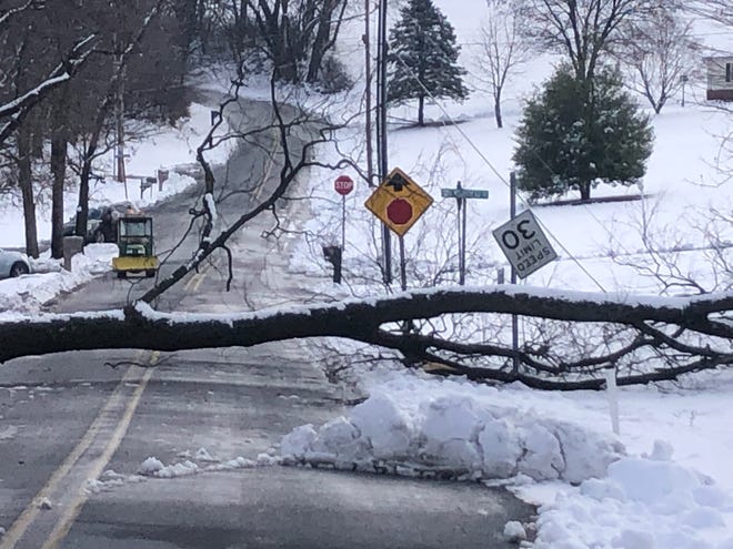 Trees came down on wires on Bairs Mill Road and Strickler School Road in Hellam Township after a snowstorm on Tuesday, Feb. 13, 2024. Bil Bowden photo